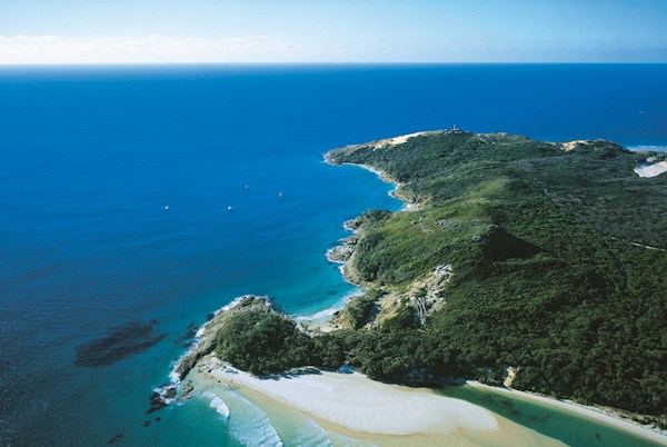 Island surfing deals